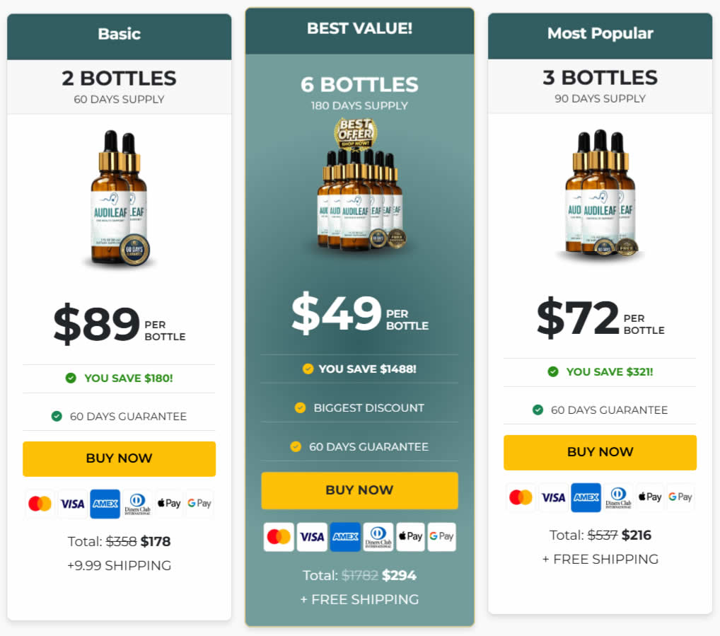 AudiLeaf pricing options